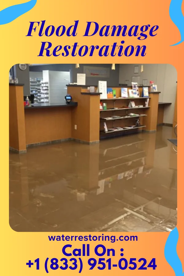 Flood Damage Restoration in Lake Station, IN