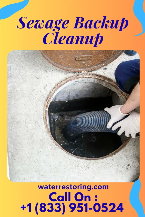 Sewage Backup Cleanup in Lake Station, IN
